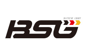 Bsg