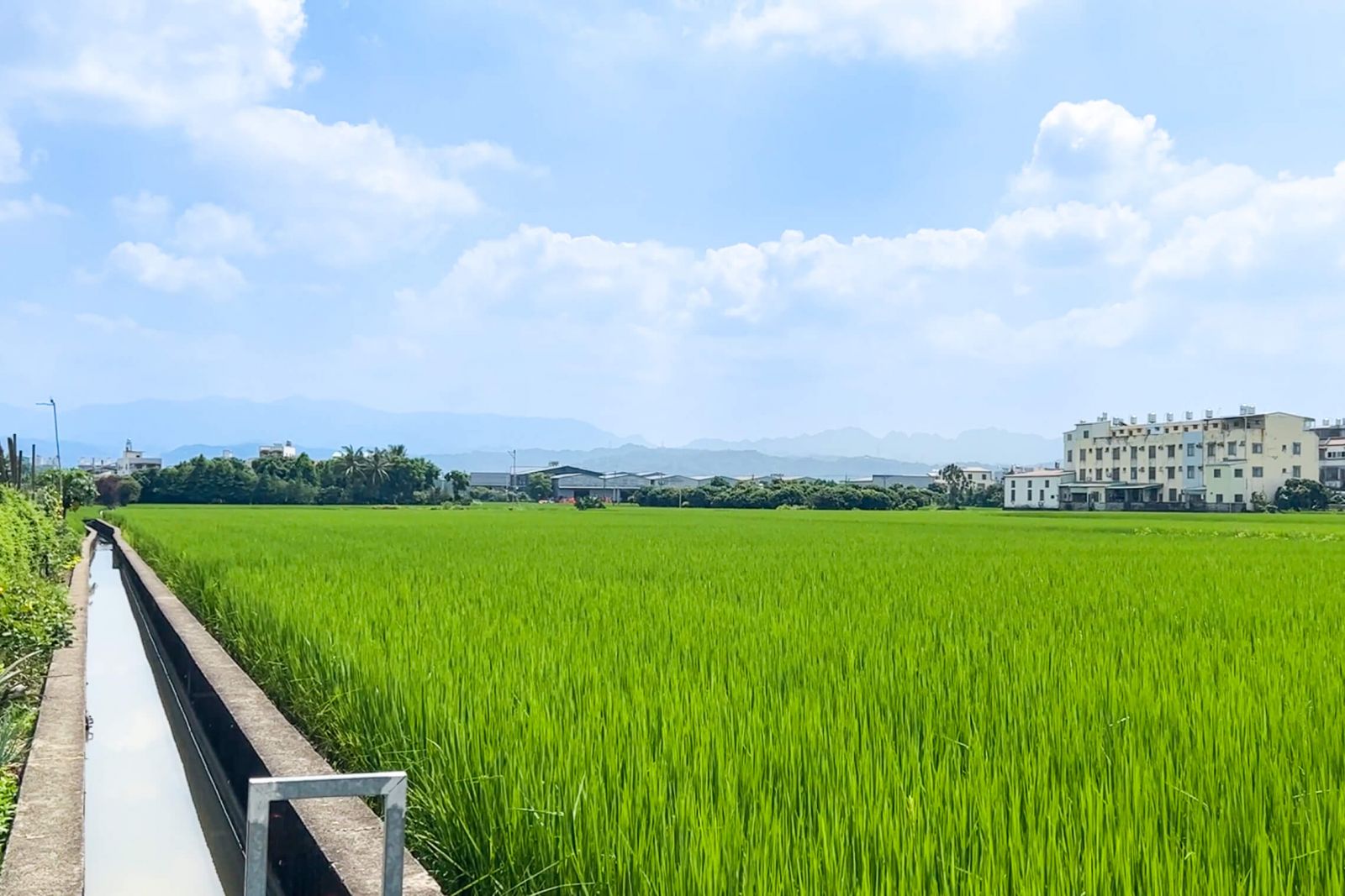 Wildlife-friendly-farmland