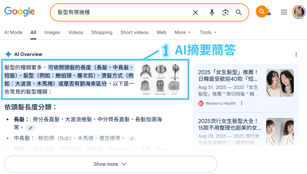 AI Overview架構: 摘要簡答