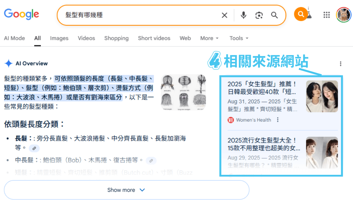 AI Overview架構: 相關來源網站